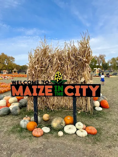 maze in the city